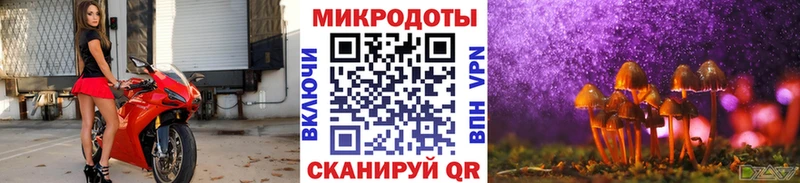 kraken как войти  Карачев  Псилоцибиновые грибы ЛСД 