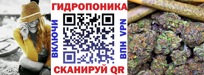 ссылка на мегу онион  Карачев  Конопля планчик 